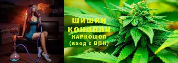 шишки Абаза
