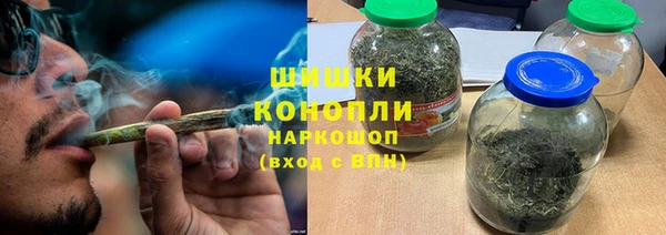 шишки Абаза