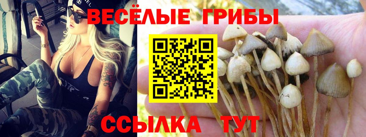 Калининград  Галлюциногенные грибы GOLDEN TEACHER  Вход с VPN 